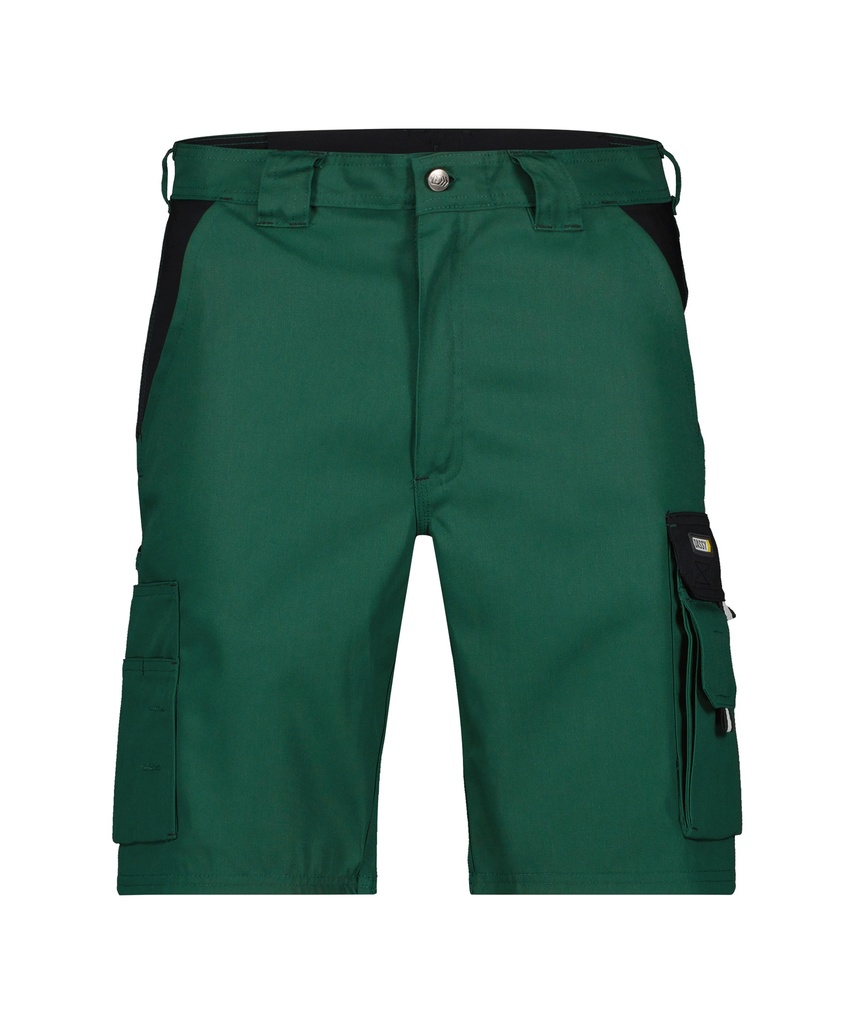 DASSY Roma 250024 PESCO 61