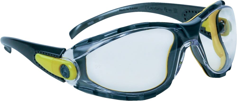 Delta Plus PACAYA CLEAR LYVIZ POLYCARBONAATBRIL UIT EEN STUK